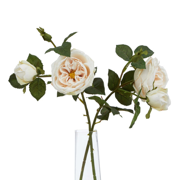 The Natural Garden Collection Palest Blush Charity Rose - Canwell Interiors Limited - Hills