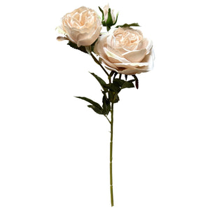 The Natural Garden Collection Palest Blush Charity Rose - Canwell Interiors Limited - Hills