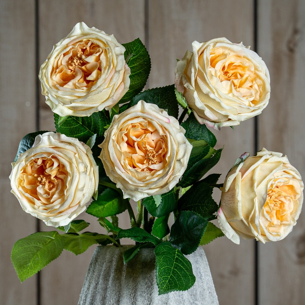 The Natural Garden Collection Palest Blush Charity Rose - Canwell Interiors Limited - Hills
