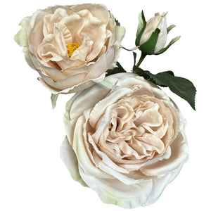 The Natural Garden Collection Palest Blush Charity Rose - Canwell Interiors Limited - Hills
