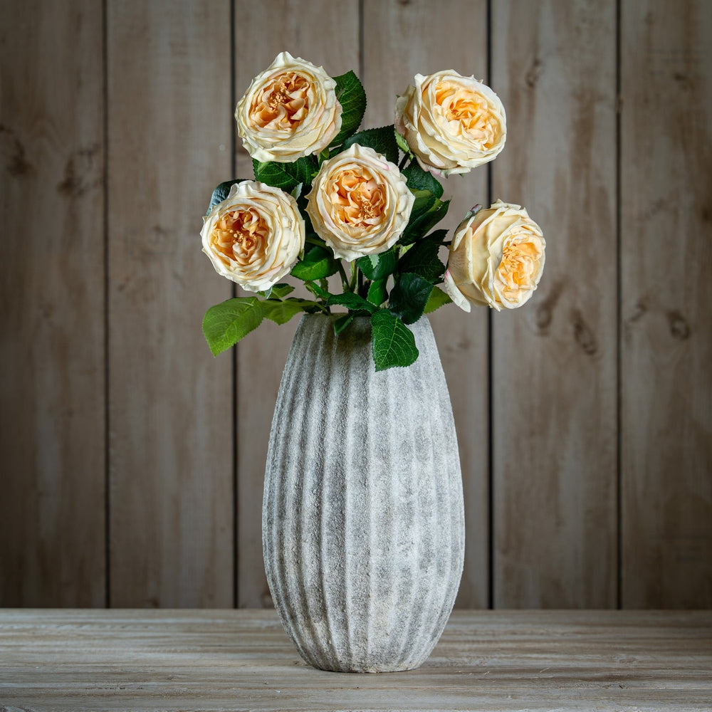 The Natural Garden Collection Palest Blush Charity Rose - Canwell Interiors Limited - Hills