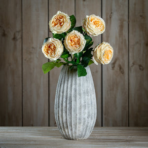 The Natural Garden Collection Palest Blush Charity Rose - Canwell Interiors Limited - Hills