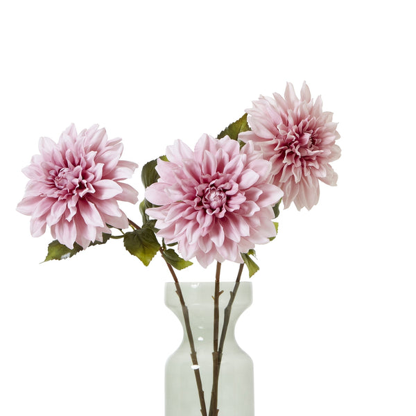 The Natural Garden Collection Pink Dahlia - Canwell Interiors Limited - Hills