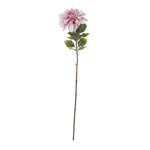 The Natural Garden Collection Pink Dahlia - Canwell Interiors Limited - Hills