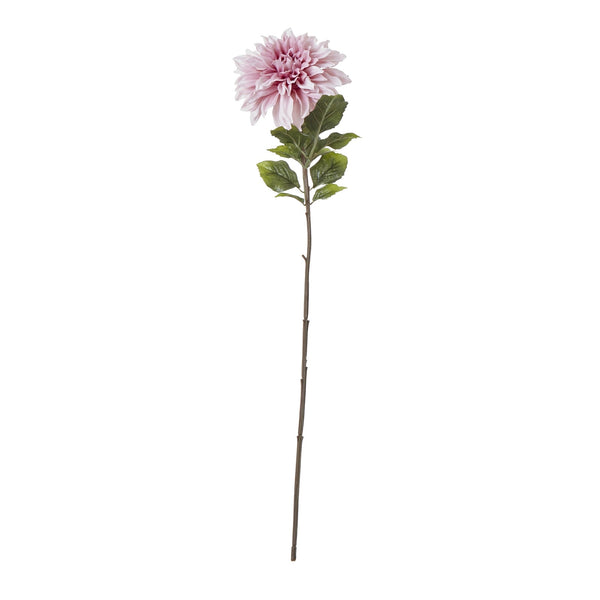 The Natural Garden Collection Pink Dahlia - Canwell Interiors Limited - Hills