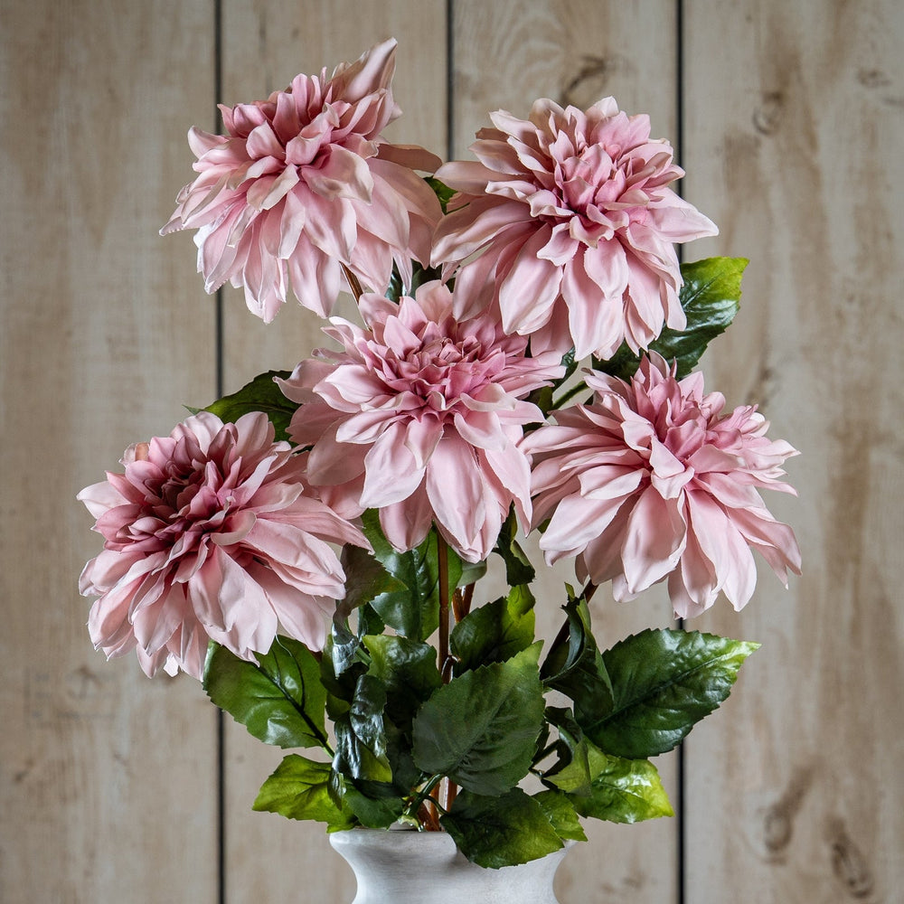 The Natural Garden Collection Pink Dahlia - Canwell Interiors Limited - Hills