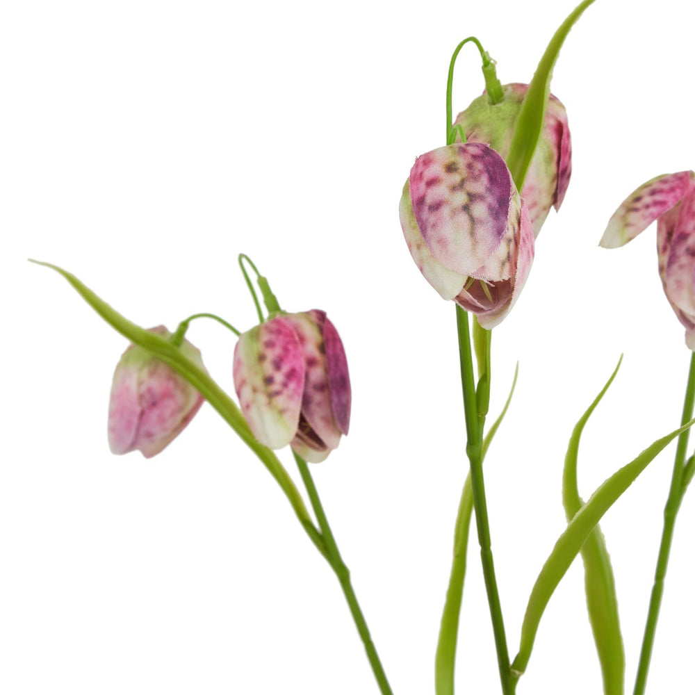 The Natural Garden Collection Purple Fritillaria Stem - Canwell Interiors Limited - Hills