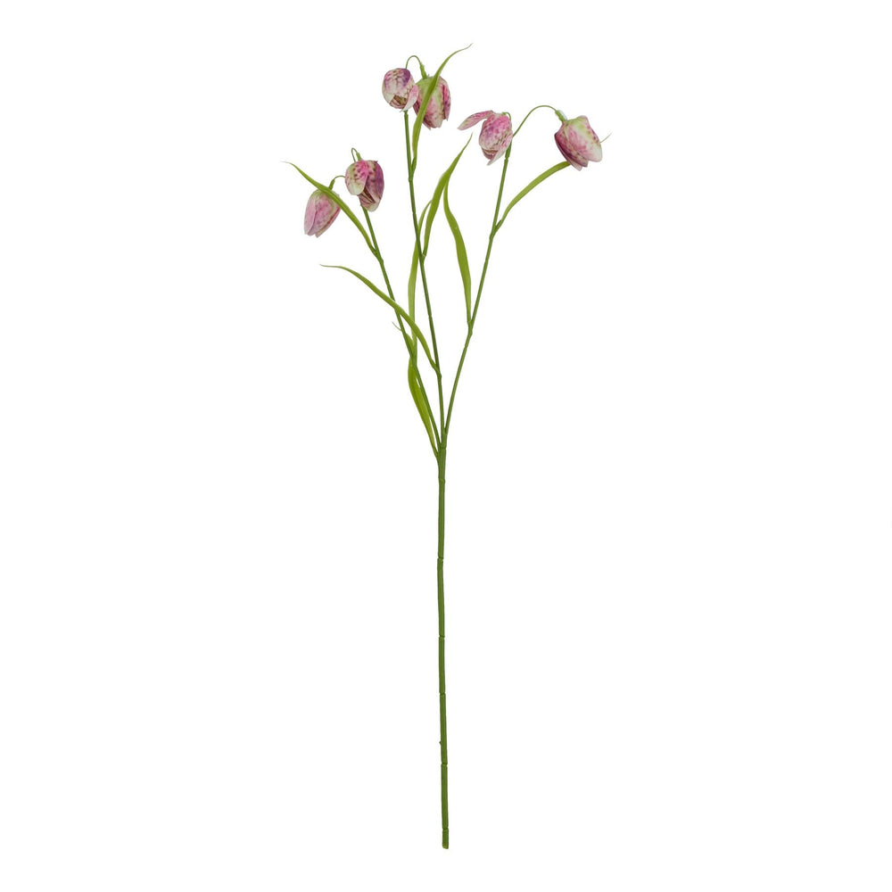 The Natural Garden Collection Purple Fritillaria Stem - Canwell Interiors Limited - Hills