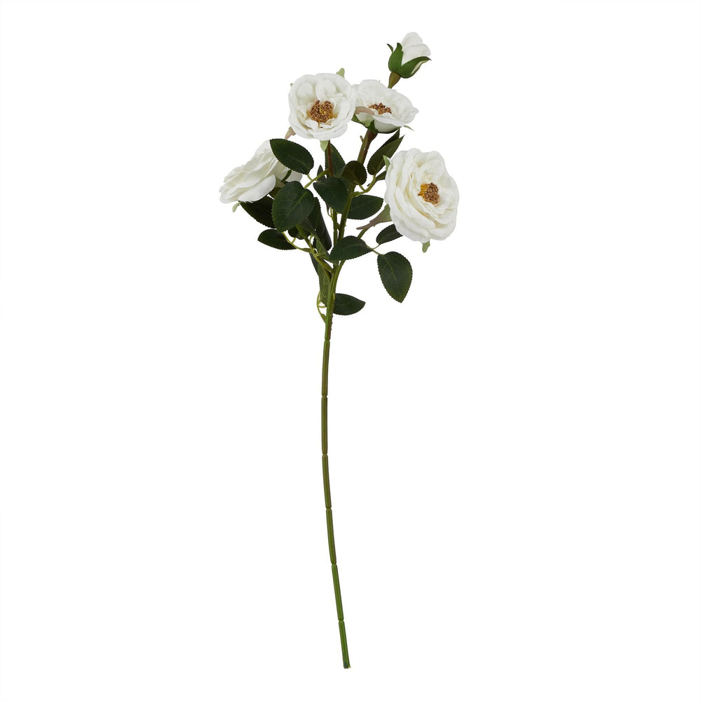 The Natural Garden Collection White Hedge Rose Stem - Canwell Interiors Limited - Hills