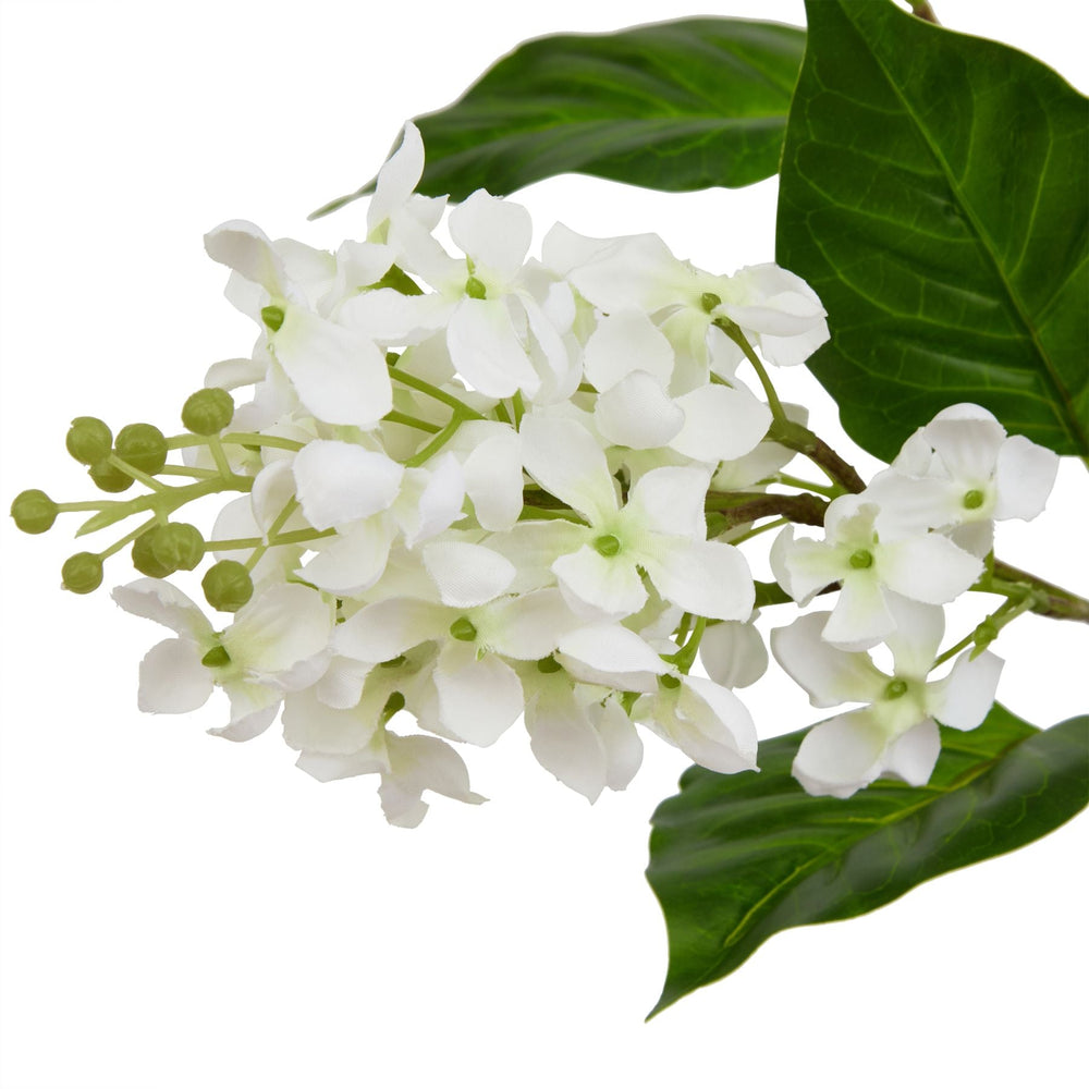 The Natural Garden Collection White Lilac Stem - Canwell Interiors Limited - Hills