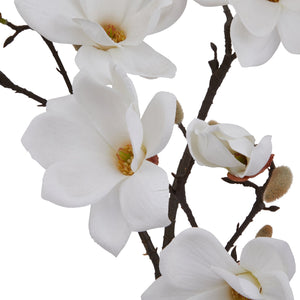 The Natural Garden Collection White Magnolia Stem - Canwell Interiors Limited - Hills