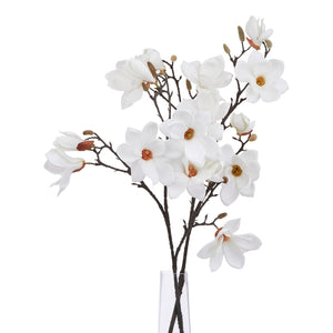 The Natural Garden Collection White Magnolia Stem - Canwell Interiors Limited - Hills
