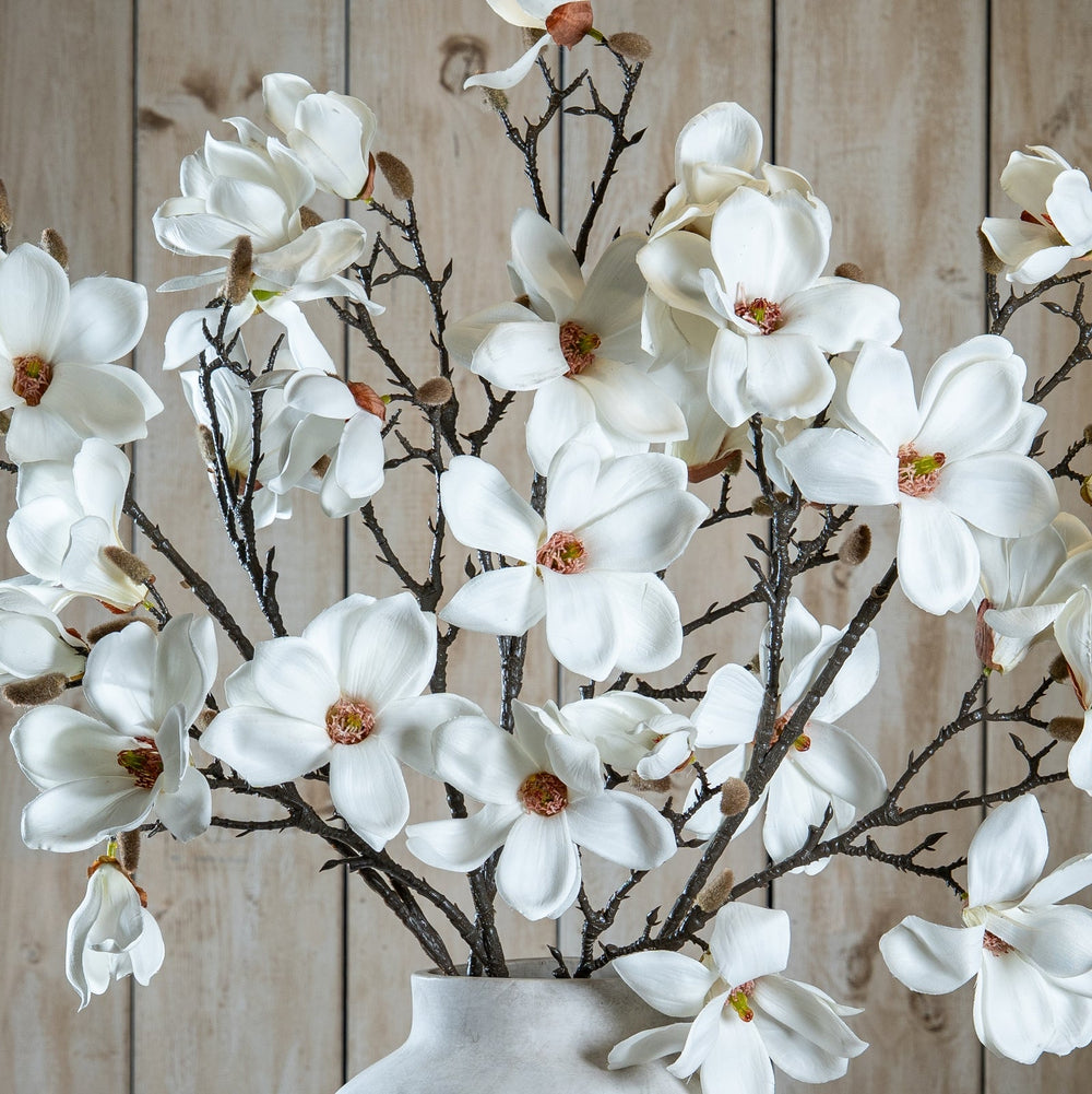 The Natural Garden Collection White Magnolia Stem - Canwell Interiors Limited - Hills