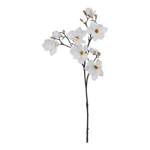 The Natural Garden Collection White Magnolia Stem - Canwell Interiors Limited - Hills