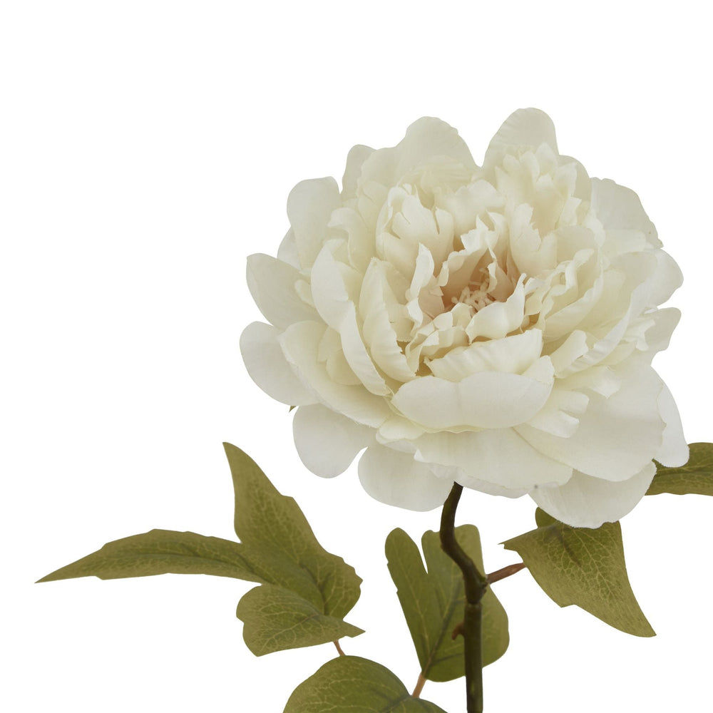 The Natural Garden Collection White Peony - Canwell Interiors Limited - Hills