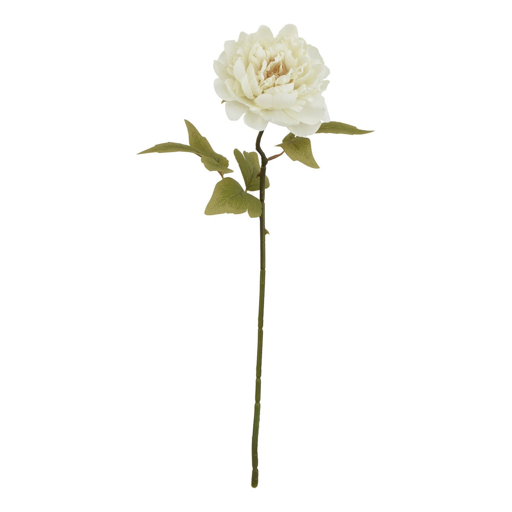 The Natural Garden Collection White Peony - Canwell Interiors Limited - Hills