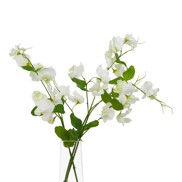 The Natural Garden Collection White Sweetpea Stem - Canwell Interiors Limited - Hills