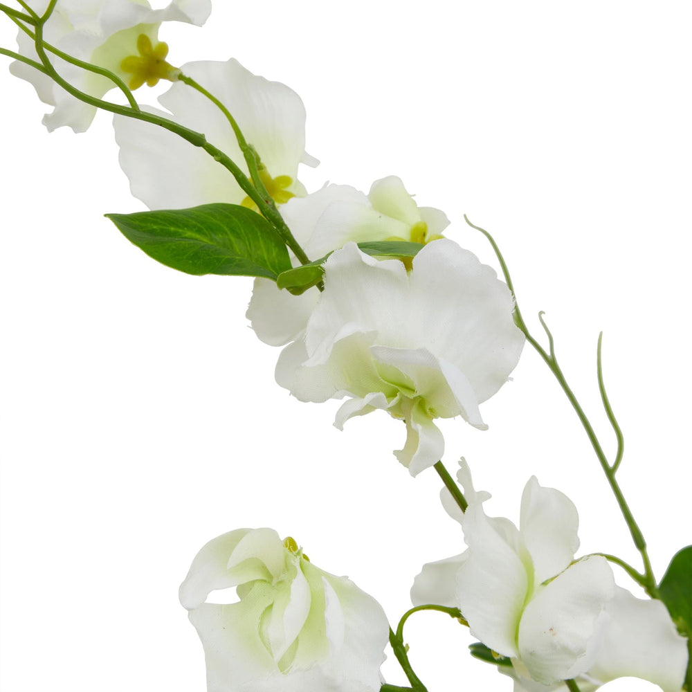 The Natural Garden Collection White Sweetpea Stem - Canwell Interiors Limited - Hills