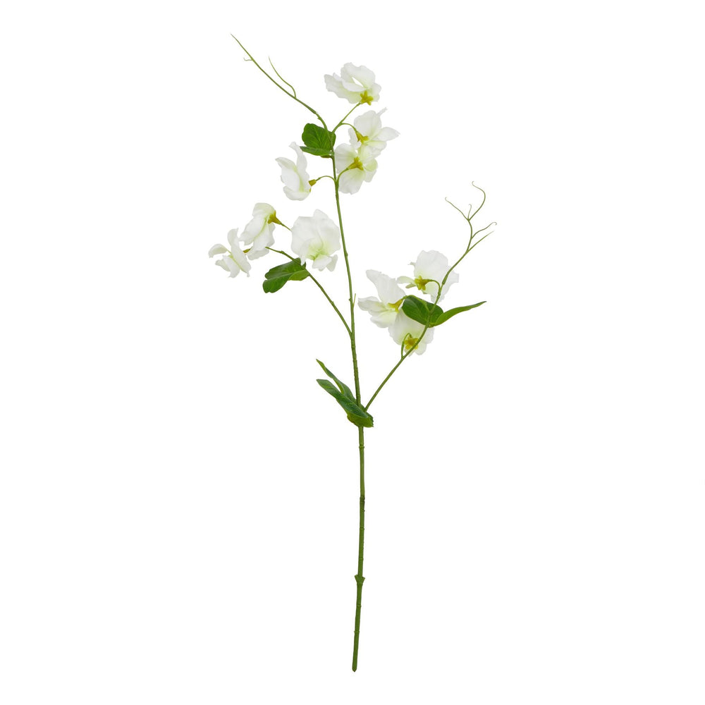 The Natural Garden Collection White Sweetpea Stem - Canwell Interiors Limited - Hills