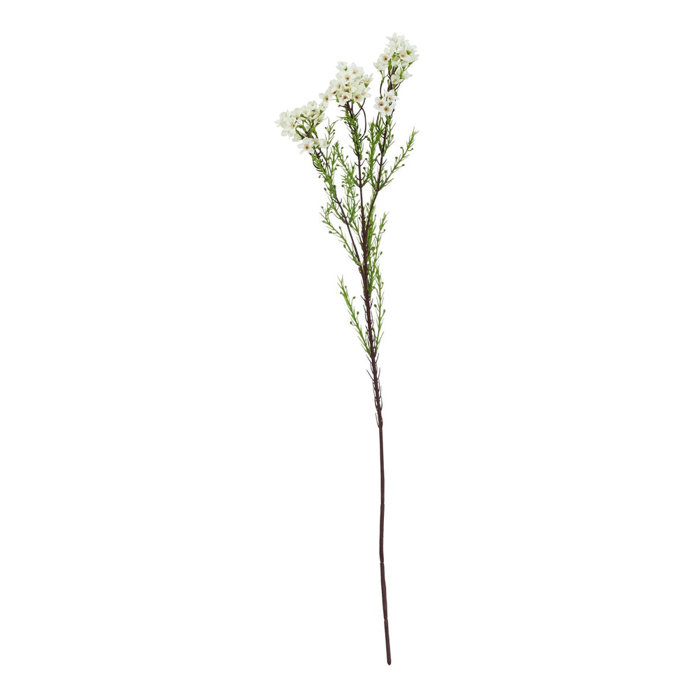 The Natural Garden Collection White Waxflower - Canwell Interiors Limited - Hills