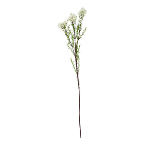 The Natural Garden Collection White Waxflower - Canwell Interiors Limited - Hills