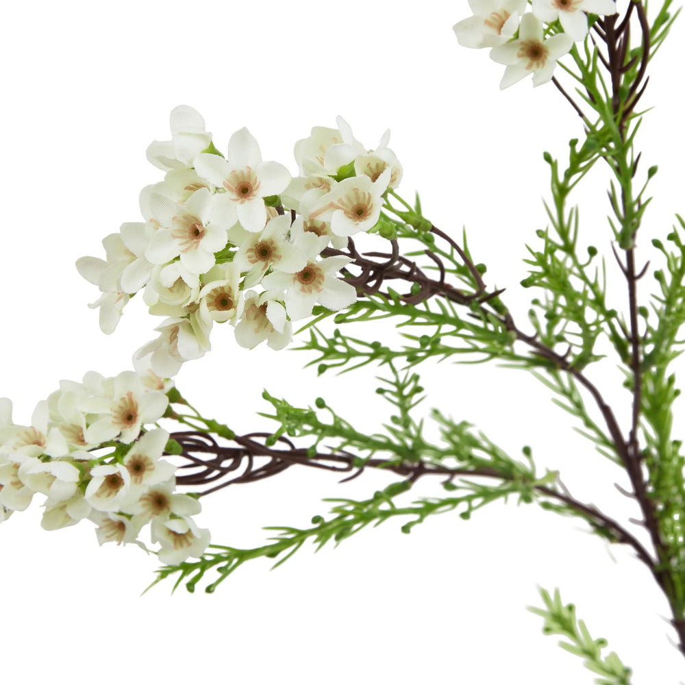 The Natural Garden Collection White Waxflower - Canwell Interiors Limited - Hills