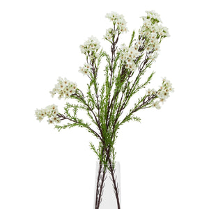 The Natural Garden Collection White Waxflower - Canwell Interiors Limited - Hills