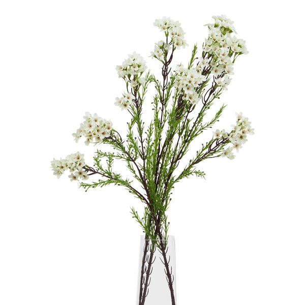 The Natural Garden Collection White Waxflower - Canwell Interiors Limited - Hills