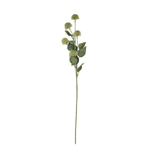 Thistle Globe Stem - Canwell Interiors Limited - Hills