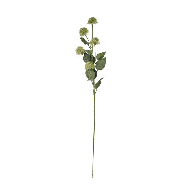 Thistle Globe Stem - Canwell Interiors Limited - Hills