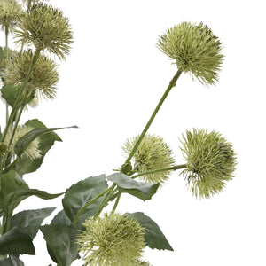 Thistle Globe Stem - Canwell Interiors Limited - Hills