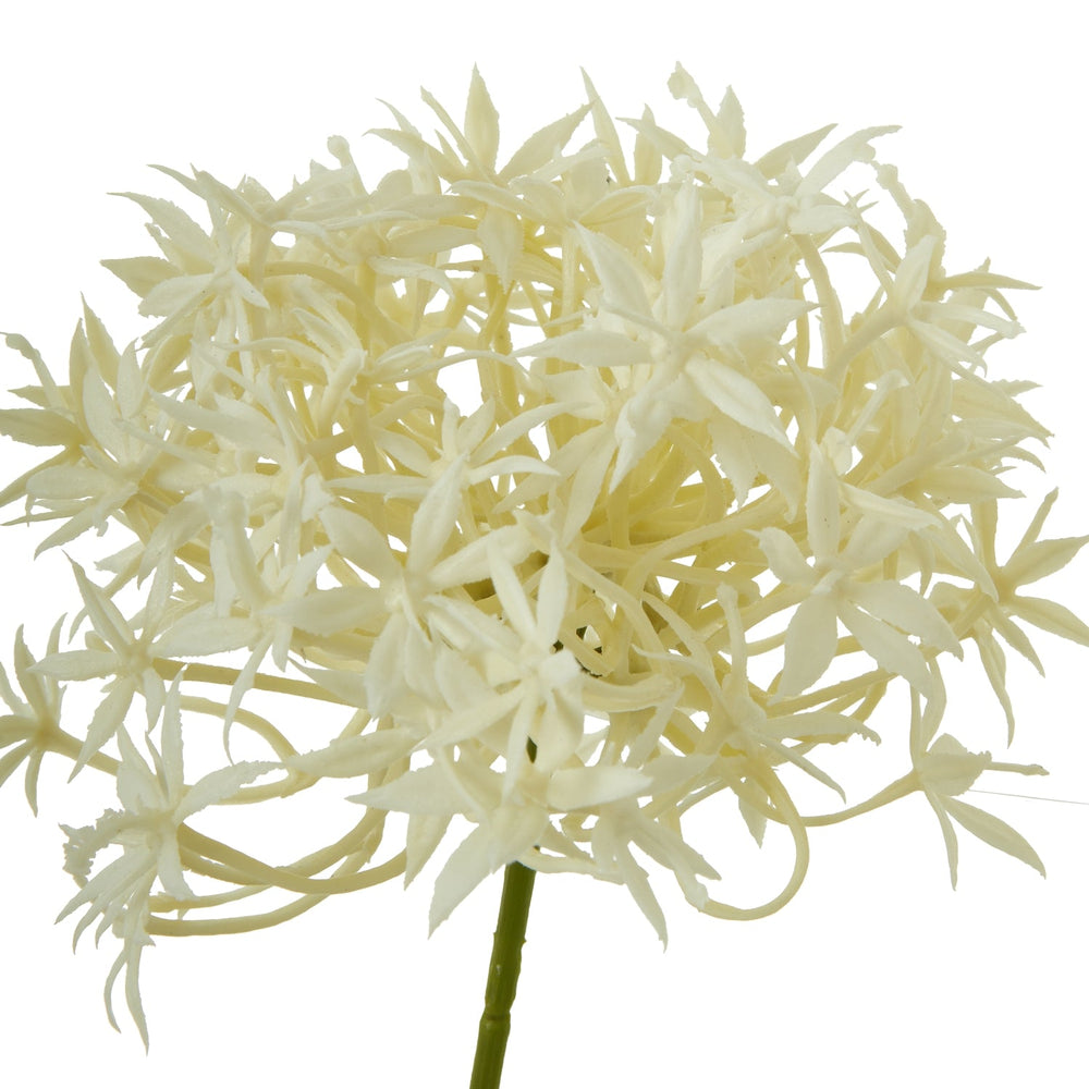 Three Head Cream Allium Spray - Canwell Interiors Limited - Hills