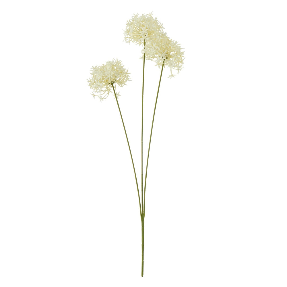 Three Head Cream Allium Spray - Canwell Interiors Limited - Hills