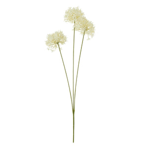 Three Head Cream Allium Spray - Canwell Interiors Limited - Hills