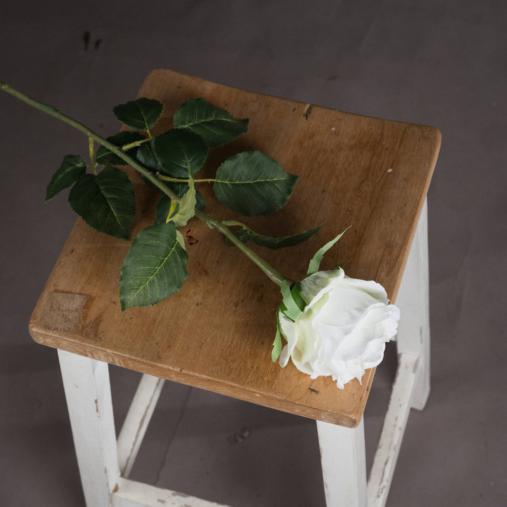 Traditional White Rose - Canwell Interiors Limited - Hills