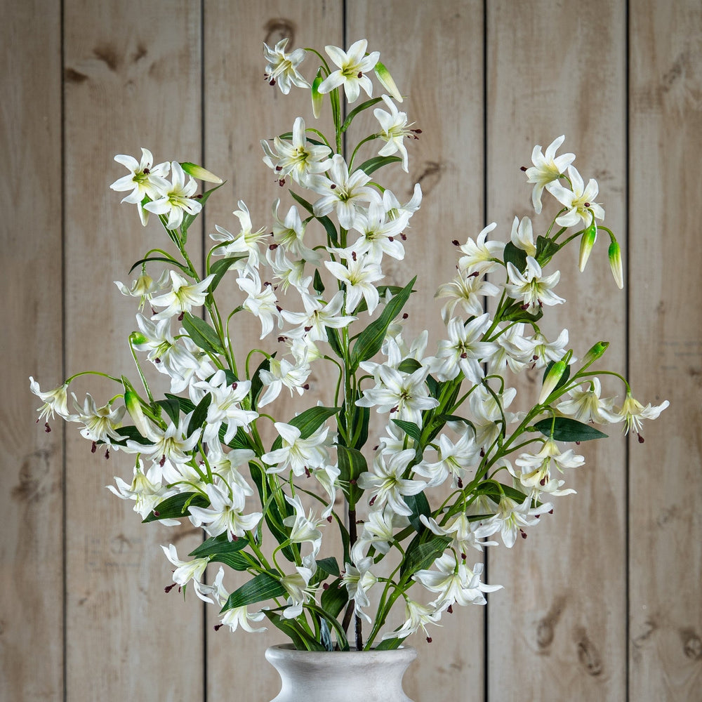 Turks Cap Green Lily Spray - Canwell Interiors Limited - Hills