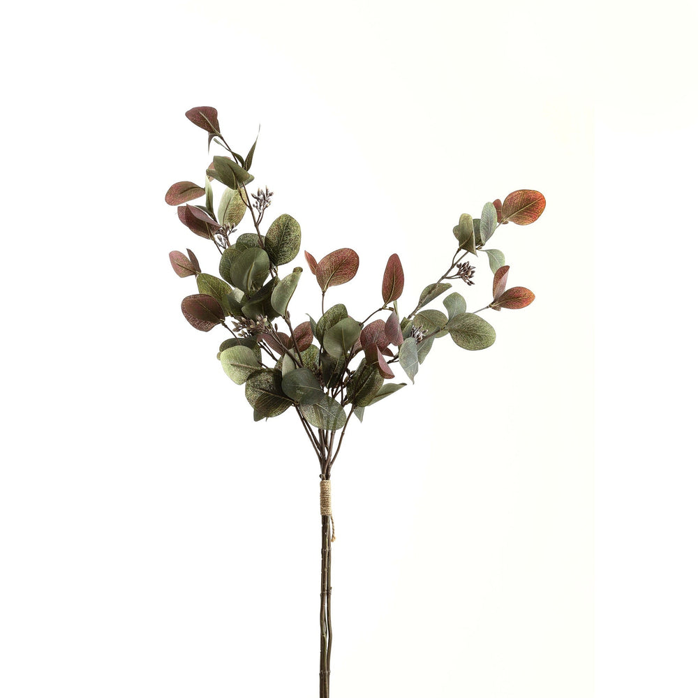 Variegated Eucalyptus Bouquet - Canwell Interiors Limited - Hills