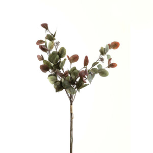 Variegated Eucalyptus Bouquet - Canwell Interiors Limited - Hills