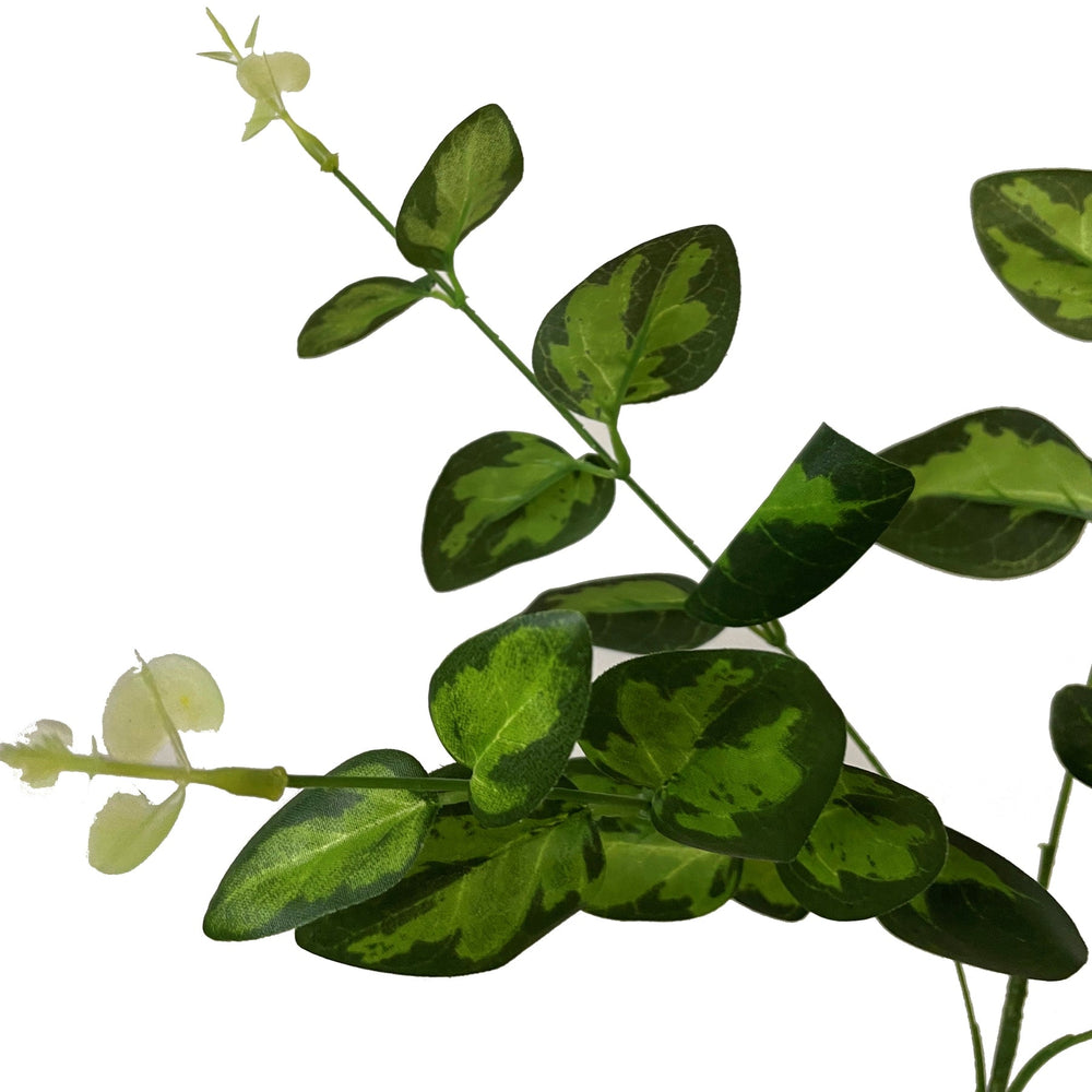 Variegated Leaf Spray - Canwell Interiors Limited - Hills