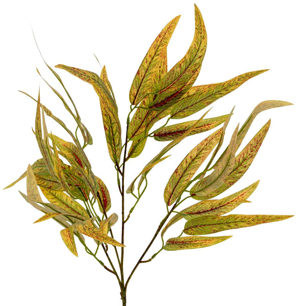 Variegated Long Leaf Eucalyptus Spray - Canwell Interiors Limited - Hills