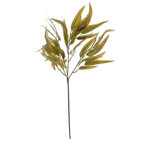 Variegated Long Leaf Eucalyptus Spray - Canwell Interiors Limited - Hills