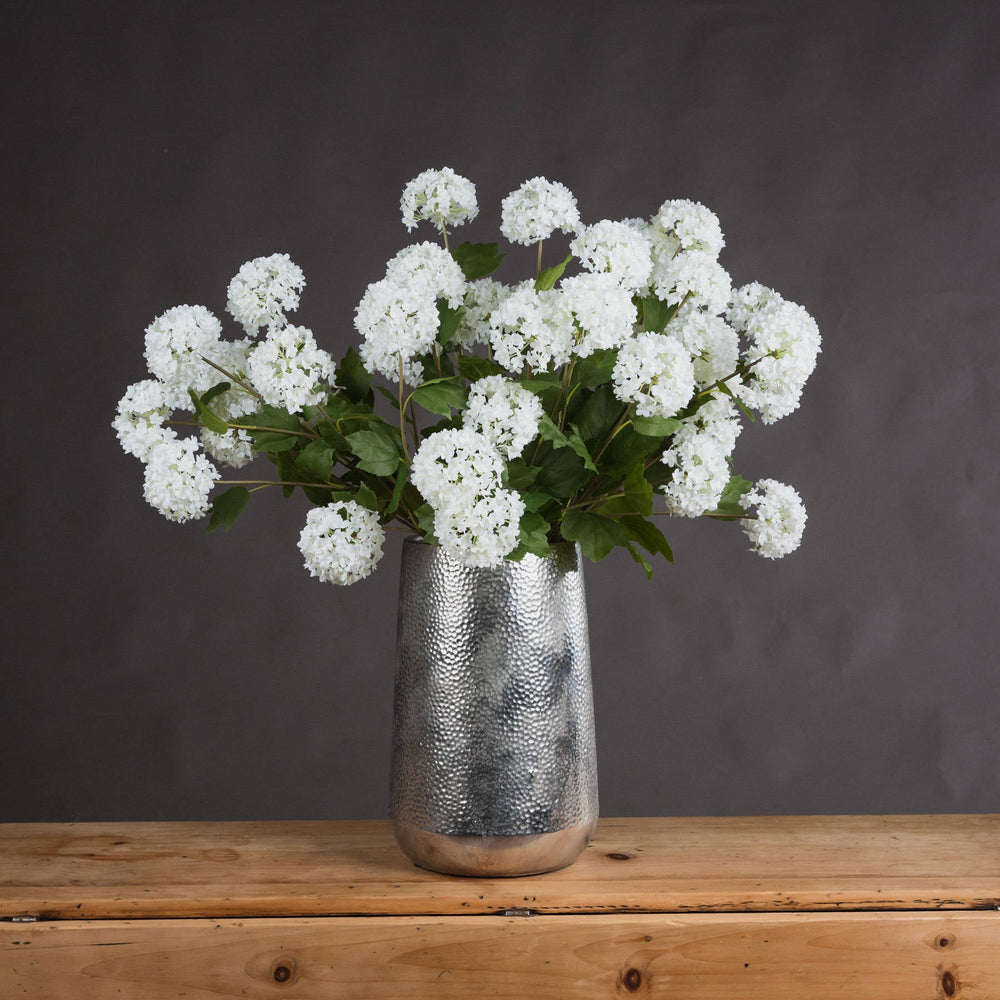 Viburnum Opulus - Canwell Interiors Limited - Hills