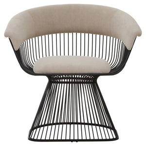 Vogue Mink Velvet and Black Frame Chair - Canwell Interiors Limited - Xshowhome