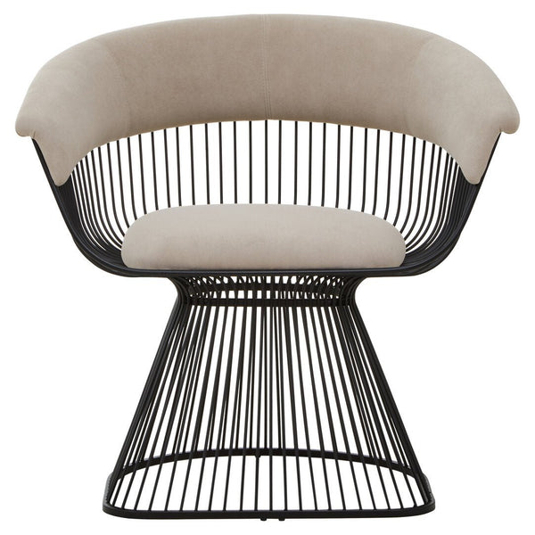 Vogue Mink Velvet and Black Frame Chair - Canwell Interiors Limited - Xshowhome