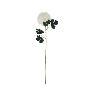 White Chrysanthemum - Canwell Interiors Limited - Hills