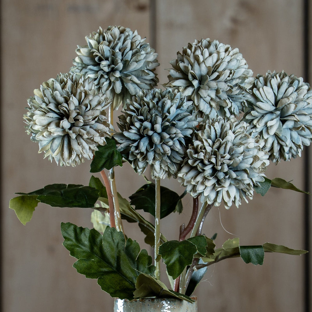 White Chrysanthemum - Canwell Interiors Limited - Hills