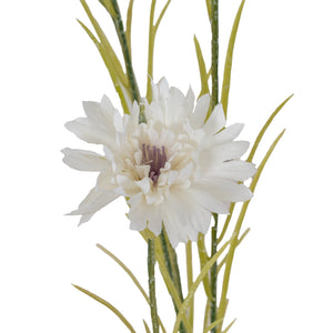 White Cornflower Stem - Canwell Interiors Limited - Hills