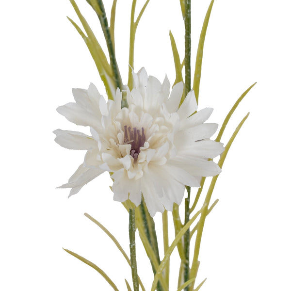 White Cornflower Stem - Canwell Interiors Limited - Hills