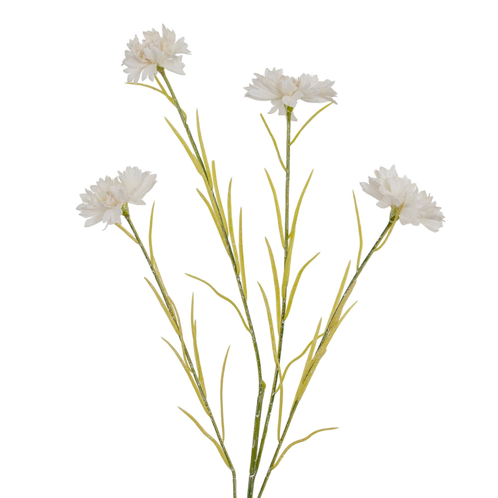 White Cornflower Stem - Canwell Interiors Limited - Hills