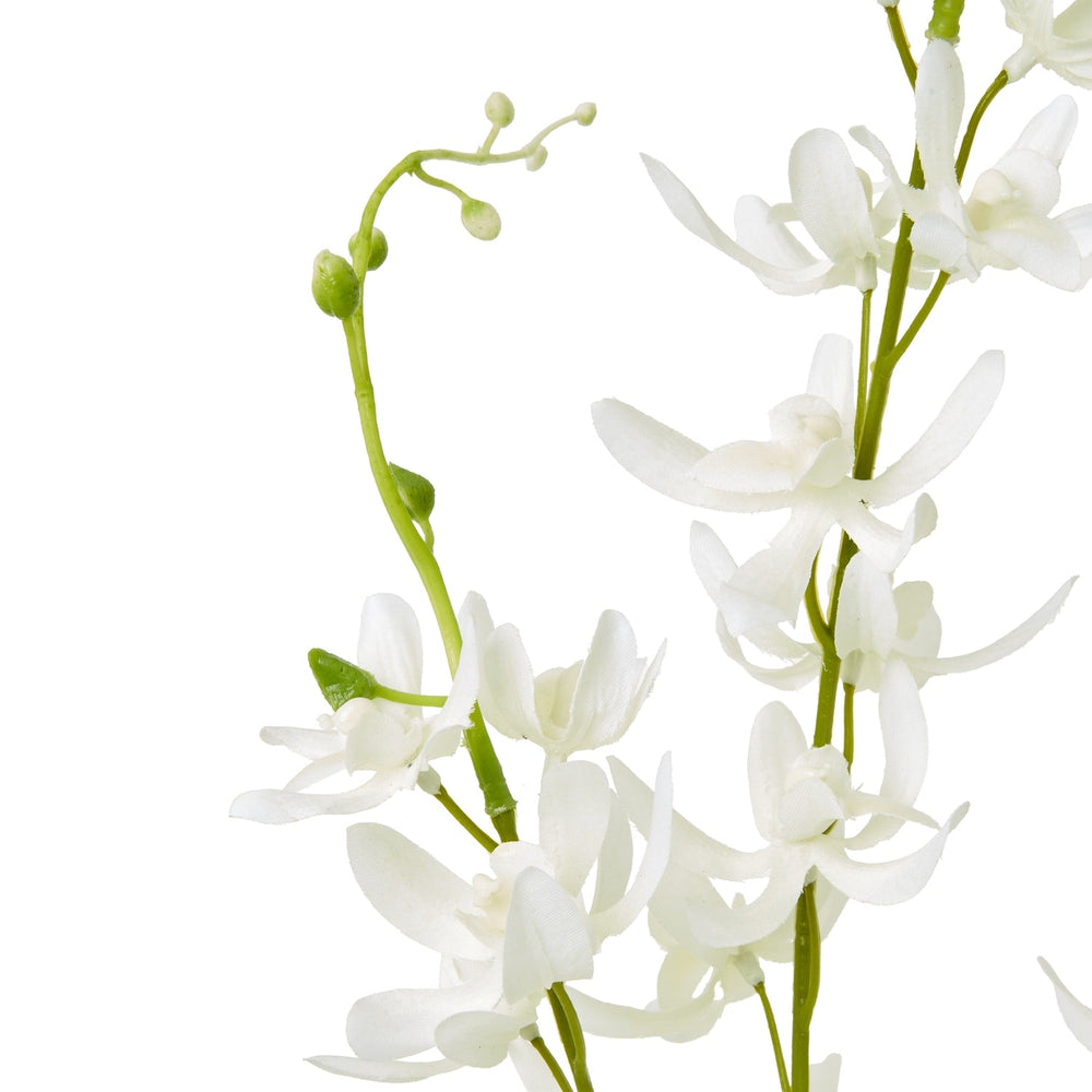 White Cymbidium Spray - Canwell Interiors Limited - Hills
